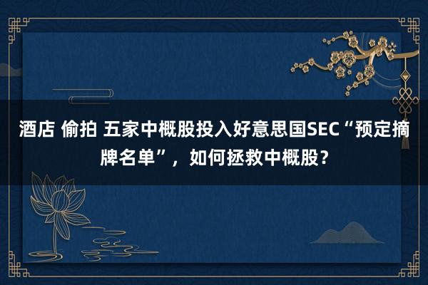 酒店 偷拍 五家中概股投入好意思国SEC“预定摘牌名单”，如何拯救中概股？