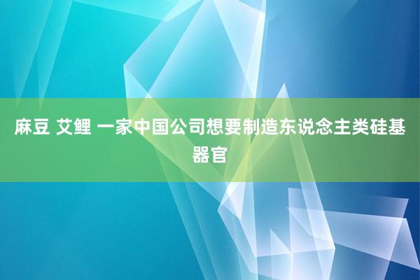 麻豆 艾鲤 一家中国公司想要制造东说念主类硅基器官