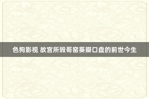 色狗影视 故宫所毁哥窑葵瓣口盘的前世今生