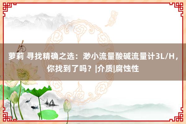 萝莉 寻找精确之选：渺小流量酸碱流量计3L/H，你找到了吗？|介质|腐蚀性